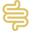 intestine
